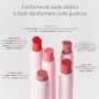 6 - Blondesister STICK LABBRA E GUANCE 2 IN 1 01 Soft Pink 3.5g