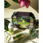 4 - Rudy Profumi Pochette con Bagno & Doccia Schiuma, Crema Corpo, Acqua Profumata 100 mL Nature&Arome Linea Bergamot