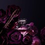 2 - Lancôme Tresor La Nuit Edp V100ml Nf/np