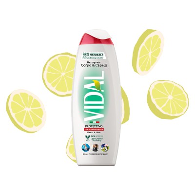 1 - Vidal Bagnodoccia Protettivo con Antibatterico 250ml