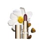 2 - Clarins Joli Rouge 744 Soft Plum 3.5g