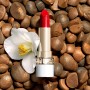 6 - Clarins Joli Rouge 3.5 g 742S Satin