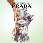 4 - Prada Infusion de Cedre 100 ml