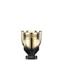 1 - Rabanne Invictus Elixir Parfum Elixir 50ml