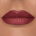 6 - Diego dalla Palma Plump & Fill My Lips Matita Labbra Effetto Volume 193 Marsala