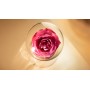 7 - Lancôme Absolue Crema Ricca 60ml