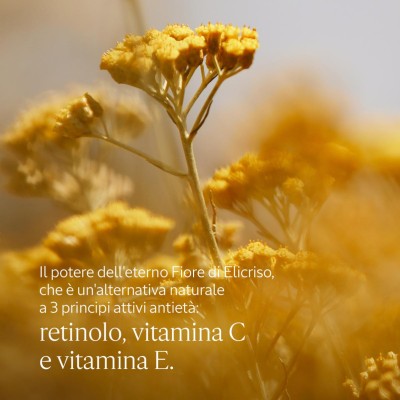 2 - L'Occitane Immortelle Precious Eye balm Women 15 ml