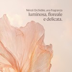 3 - L'Occitane Néroli Orchidée (Neroli Orchid) 250 ml Shower gel Women Body