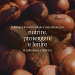 2 - L'Occitane Shea Crema per le Mani Karité 30ml