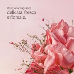 3 - L'Occitane Rose 250 ml Lotion Women
