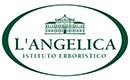 L'ANGELICA
